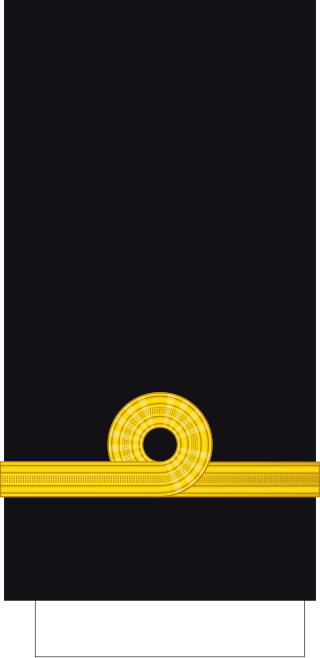 Naval cadet rank insignia - Narmada College NCC